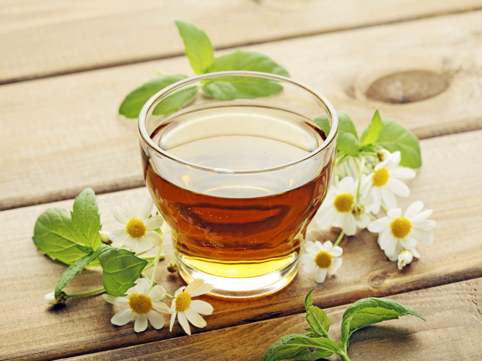 Детоксикация в домашних условиях | Блог о здоровье, красоте и долголетии